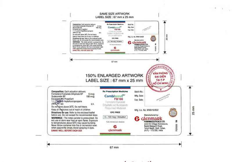 thông tin, cách dùng, giá thuốc Combiwave FB 100 - ảnh 1