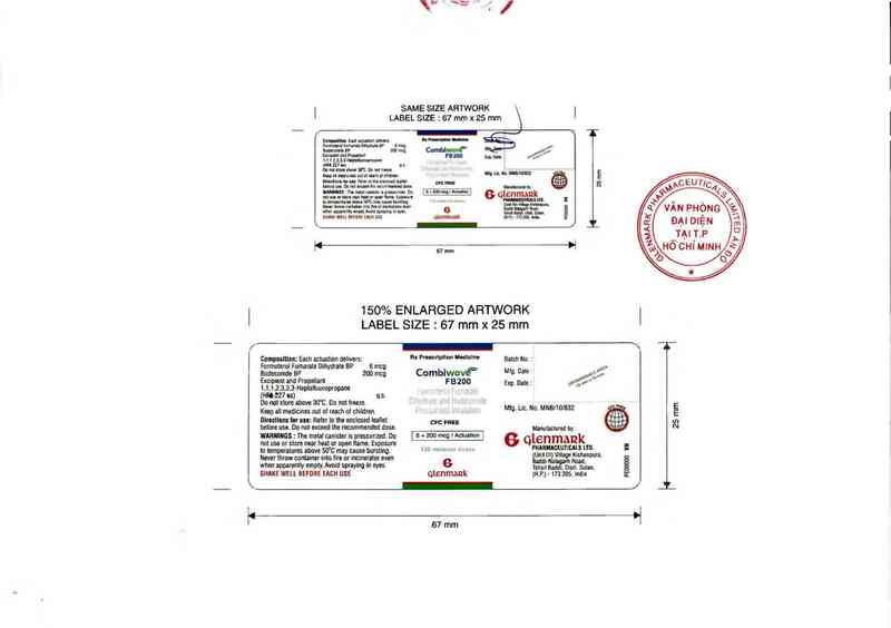 thông tin, cách dùng, giá thuốc Combiwave FB 200 - ảnh 2