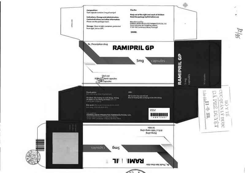 thông tin, cách dùng, giá thuốc Ramipril GP - ảnh 0