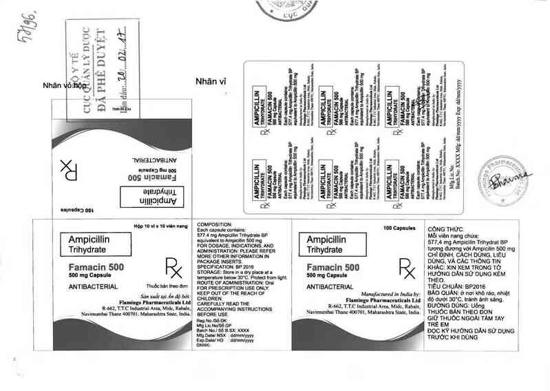 thông tin, cách dùng, giá thuốc Famacin 500 mg - ảnh 0