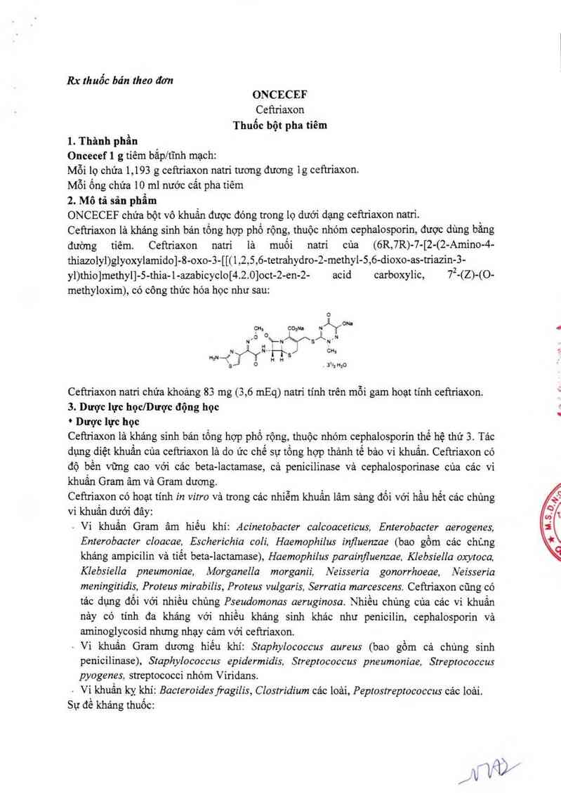 thông tin, cách dùng, giá thuốc Oncecef 1g - ảnh 3