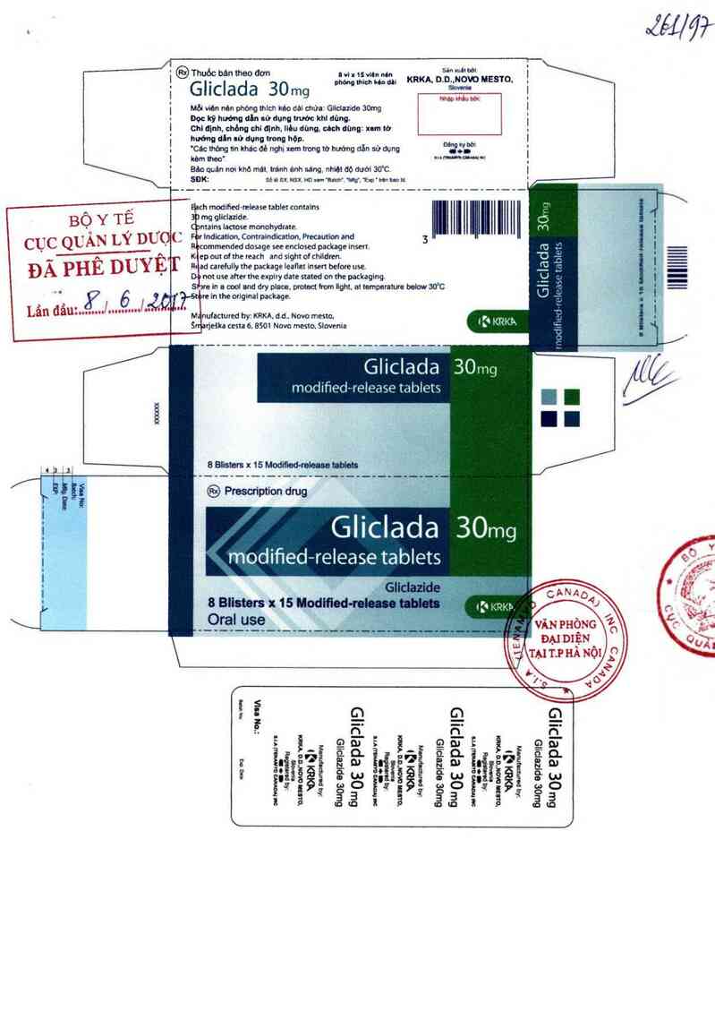 thông tin, cách dùng, giá thuốc Gliclada 30mg - ảnh 0