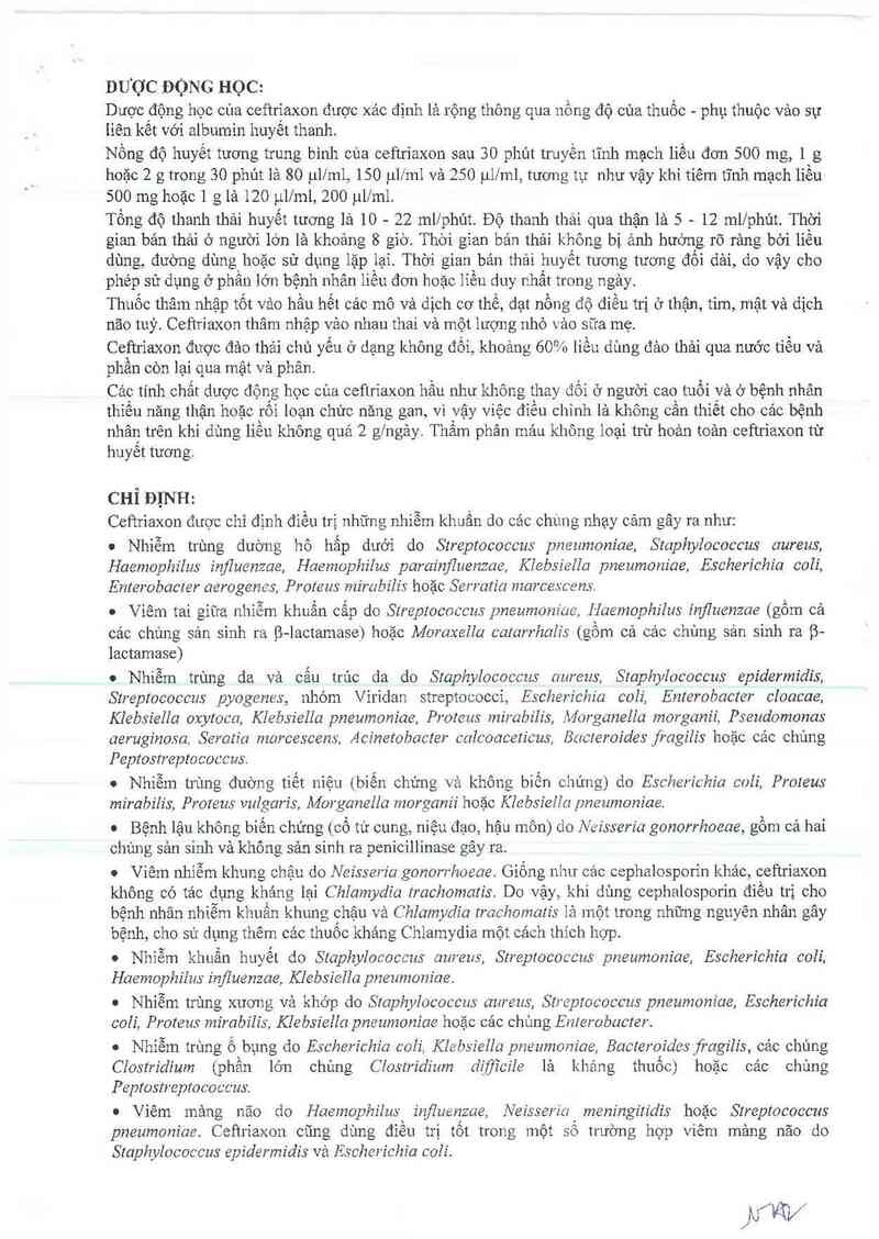 thông tin, cách dùng, giá thuốc Ceftriaxon Stragen 2g - ảnh 3