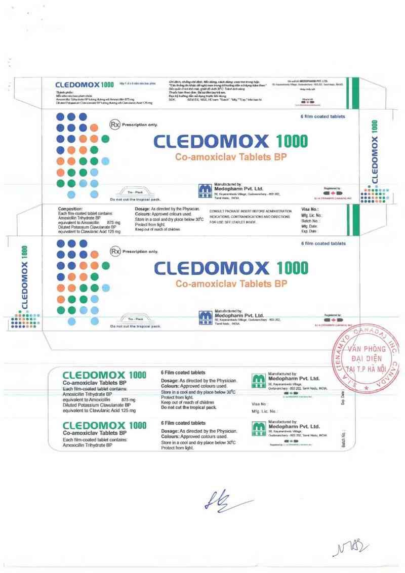 thông tin, cách dùng, giá thuốc Cledomox 1000 - ảnh 1