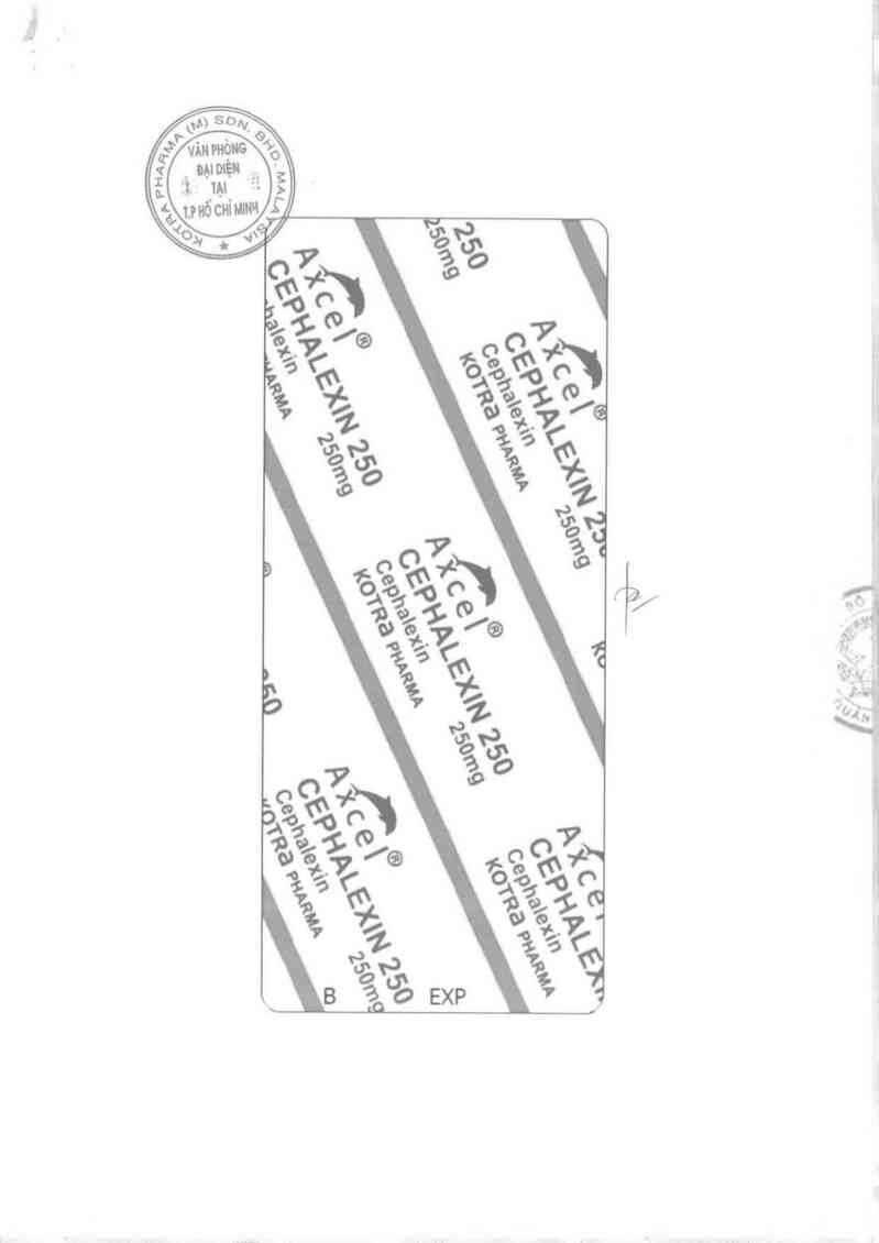 thông tin, cách dùng, giá thuốc Axcel Cephalexin-250 Capsule - ảnh 1