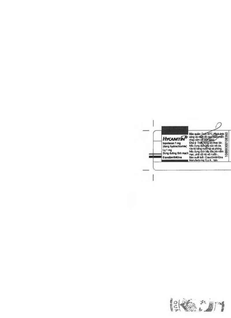 thông tin, cách dùng, giá thuốc Hycamtin 1mg - ảnh 2