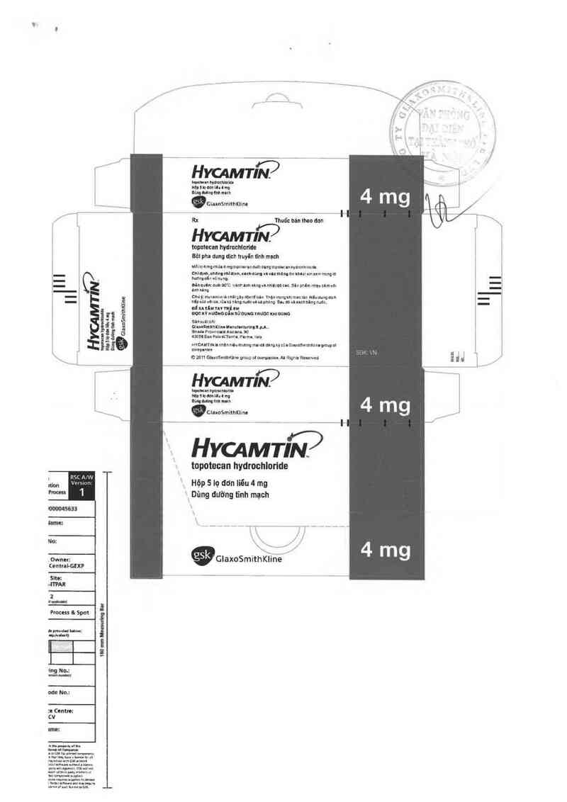 thông tin, cách dùng, giá thuốc Hycamtin 4mg - ảnh 1
