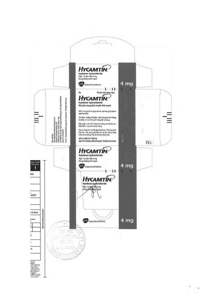 thông tin, cách dùng, giá thuốc Hycamtin 4mg - ảnh 2