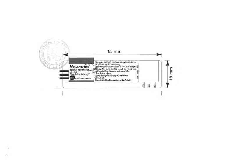 thông tin, cách dùng, giá thuốc Hycamtin 4mg - ảnh 3