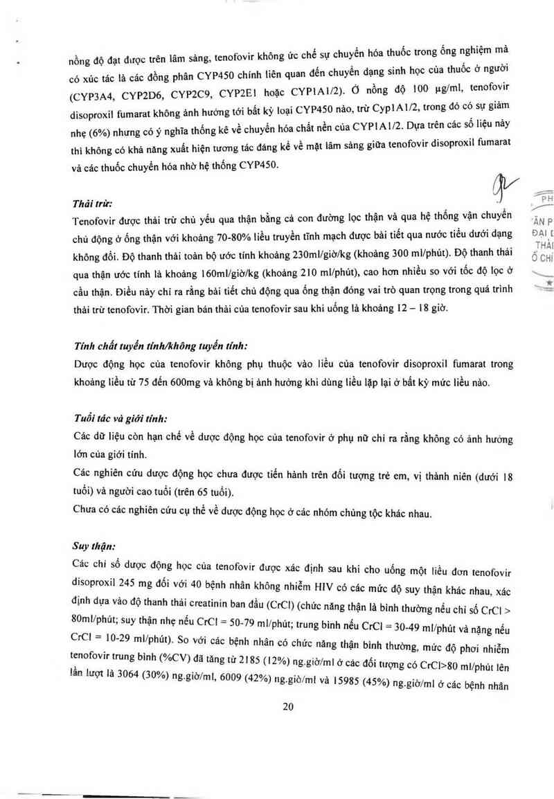 thông tin, cách dùng, giá thuốc Tenofovir disoproxil fumarate 300mg - ảnh 22