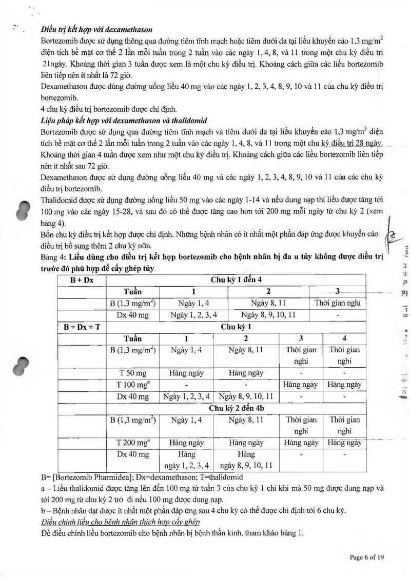 thông tin, cách dùng, giá thuốc Bortezomib Pharmidea - ảnh 6