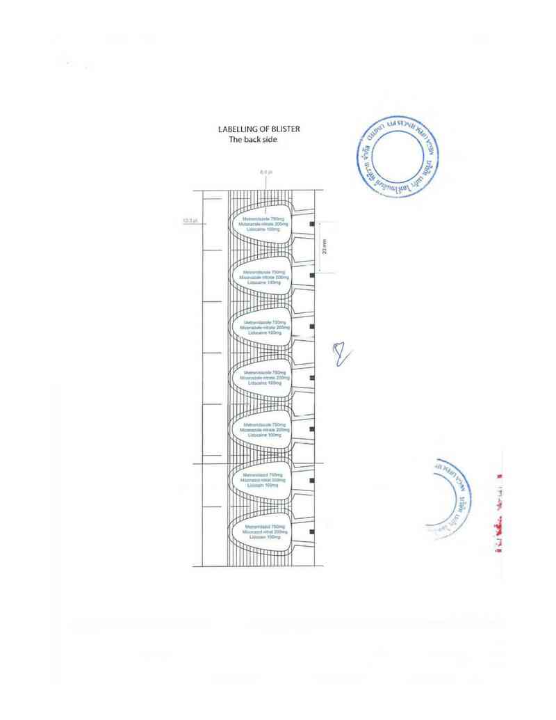 thông tin, cách dùng, giá thuốc Neo-Penotran Forte L - ảnh 2