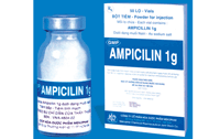 Ampicillin 1g