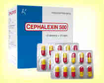 Cephalexin capsules USP 500mg