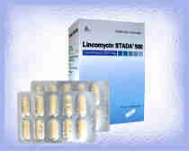 Lincomycin Stada 500mg