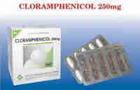 Cloramphenicol 250mg