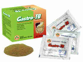 Gastro TĐ